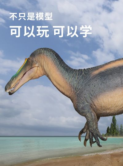 PNSO恐龙大王 成长陪伴模型67 似鳄龙塔博