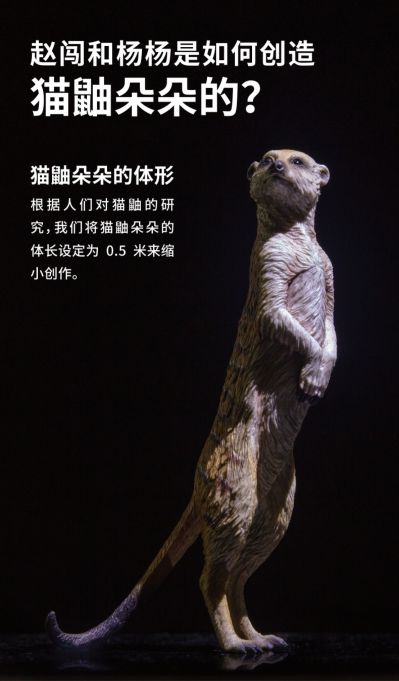 PNSO动物园成长陪伴模型12 猫鼬朵朵