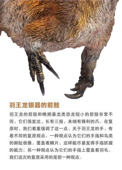 PNSO恐龙大王成长陪伴模型52 羽王龙银器