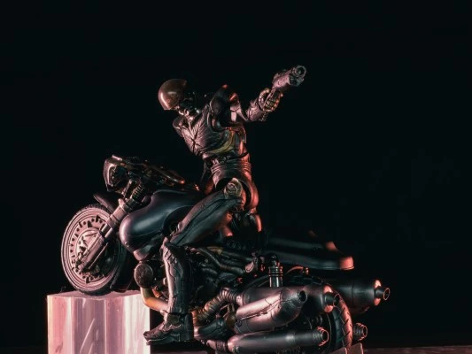 Hakaida's Bike