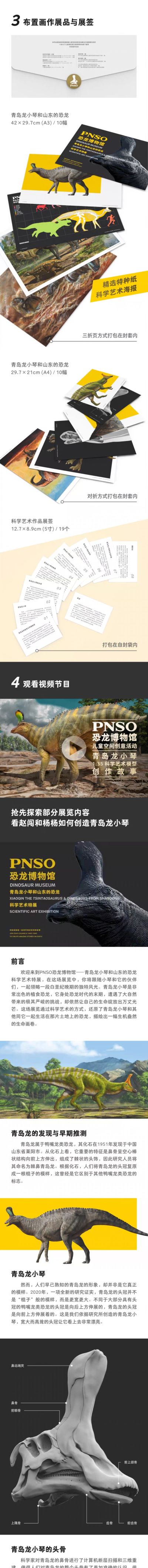 PNSO恐龙博物馆1:35科学艺术模型 青岛龙小琴​