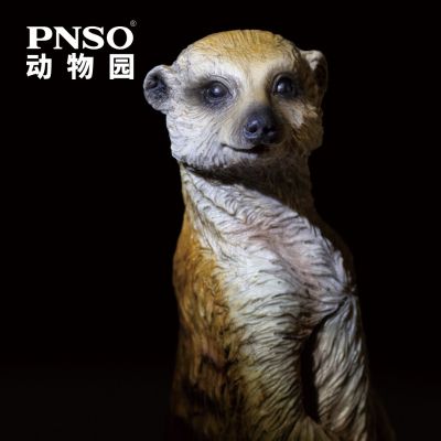 PNSO动物园成长陪伴模型12 猫鼬朵朵