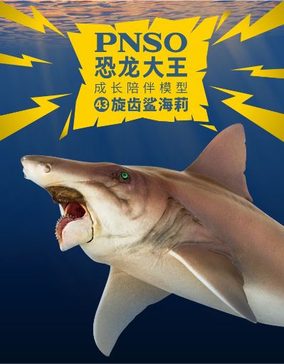 PNSO恐龙大王  成长陪伴模型43 旋齿鲨海莉