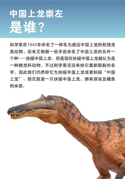PNSO恐龙大王 成长陪伴模型66 中国上龙崇左
