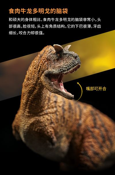 PNSO恐龙大王  成长陪伴模型36 食肉牛龙 多明戈
