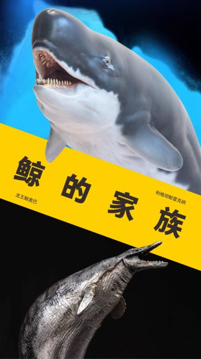 PNSO恐龙大王成长陪伴模型56 利维坦鲸雷克纳