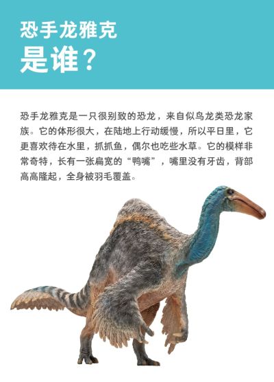 PNSO恐龙大王 成长陪伴模型64 恐手龙雅克