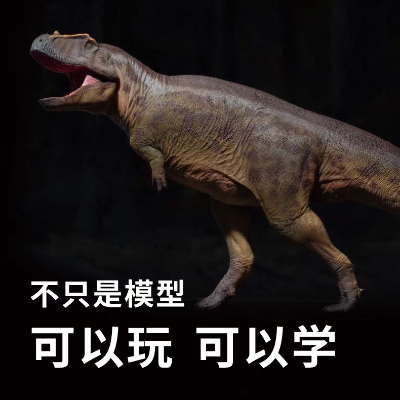 成长陪伴模型95  塔梅里盗龙梅尔