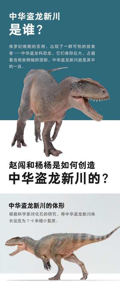 PNSO恐龙大王 成长陪伴模型62 中华盗龙新川