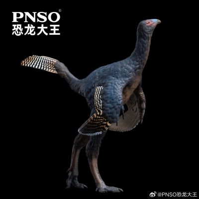 成长陪伴模型93  尾羽龙俊朗