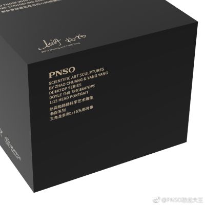 PNSO赵闯和杨杨科学艺术雕像书房系列 三角龙多利1:15头部肖像
