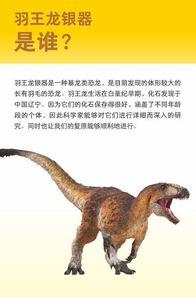 PNSO恐龙大王成长陪伴模型52 羽王龙银器