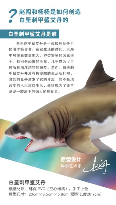 PNSO恐龙大王成长陪伴系列54 白垩刺甲鲨艾丹