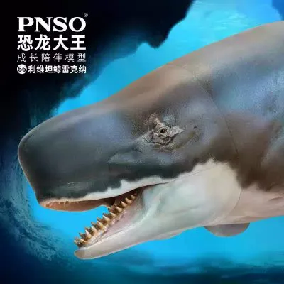 PNSO恐龙大王成长陪伴模型56 利维坦鲸雷克纳