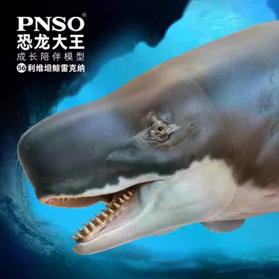PNSO恐龙大王成长陪伴模型56 利维坦鲸雷克纳