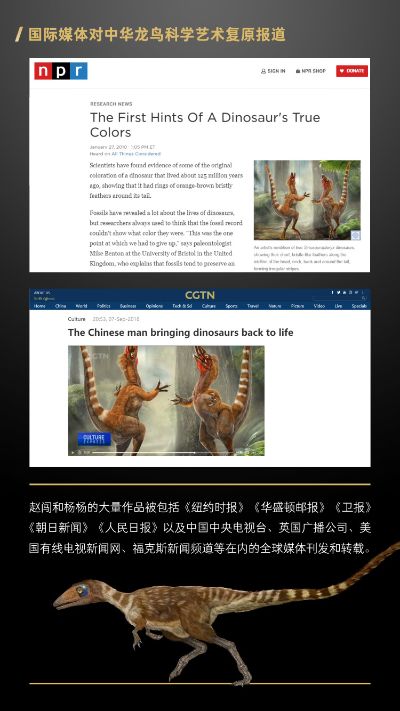赵闯和杨杨科学艺术雕像美术馆系列 1:3中华龙鸟羽颜铜雕限量版