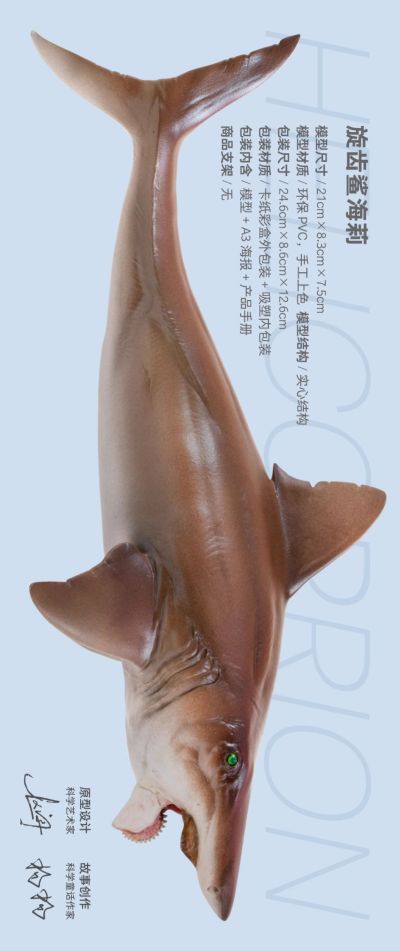 PNSO恐龙大王  成长陪伴模型43 旋齿鲨海莉