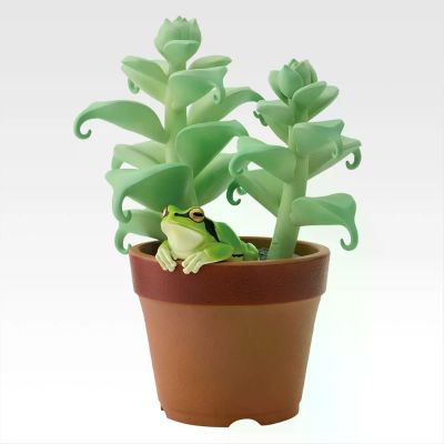 一番赏 爬行类&两栖类～小小伙伴～第三弹 C赏 日本树蛙与观叶植物饰品架