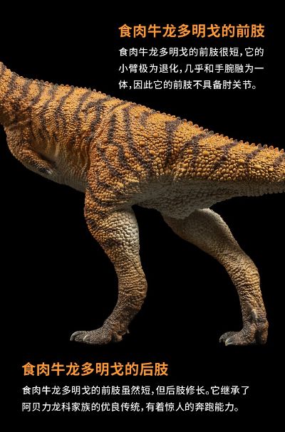 PNSO恐龙大王  成长陪伴模型36 食肉牛龙 多明戈