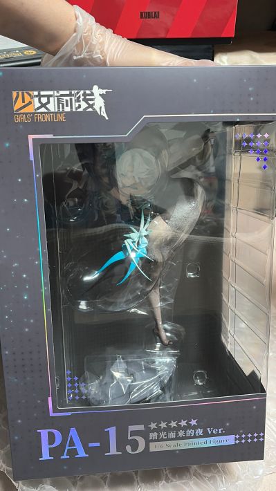 少女前线 PA15 踏光而来的夜
