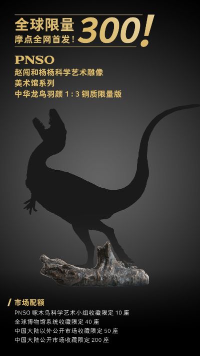 赵闯和杨杨科学艺术雕像美术馆系列 1:3中华龙鸟羽颜铜雕限量版