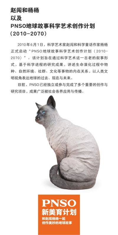 PNSO动物园成长陪伴模型13 暹罗猫萨利亚