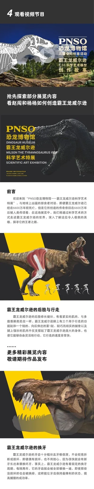 PNSO恐龙博物馆  霸王龙威尔逊1：35科学艺术模型