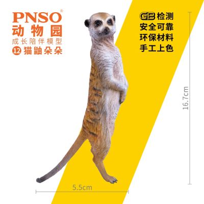 PNSO动物园成长陪伴模型12 猫鼬朵朵