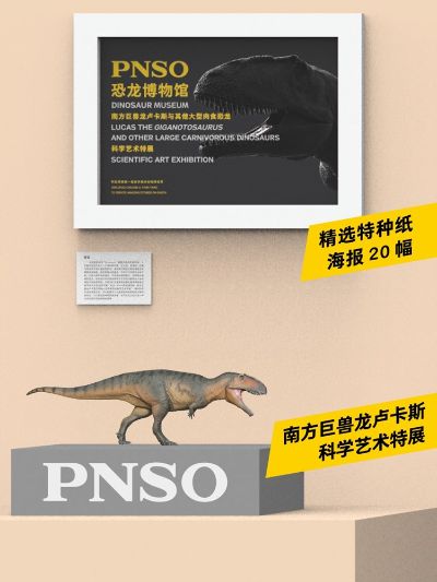 PNSO恐龙博物馆系列 南方巨兽龙卢卡斯
