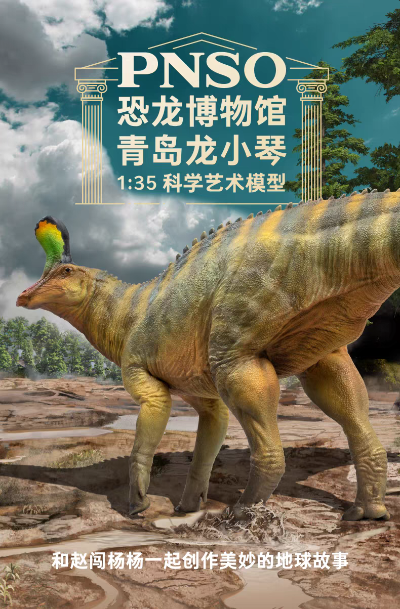 PNSO恐龙博物馆1:35科学艺术模型 青岛龙小琴​