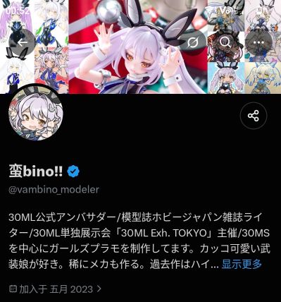 30MS  盾兵/玛修·基列莱特 [圣骑士]