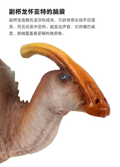 PNSO恐龙大王  成长陪伴模型44 副栉龙 怀亚特