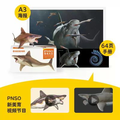 PNSO恐龙大王  成长陪伴模型43 旋齿鲨海莉