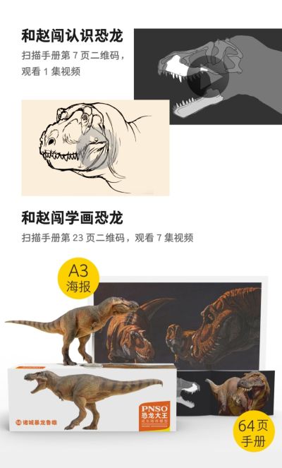 PNSO恐龙大王 成长陪伴模型58 诸城暴龙鲁雄