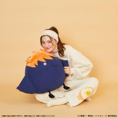 排球少年!! Palude联名 日向翔阳乌鸦毛绒抱枕