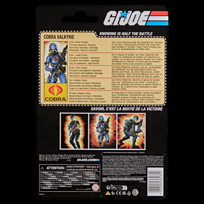 绝密 特种部队 G I Joe 6寸复古挂卡 眼镜蛇女武神 女性步兵