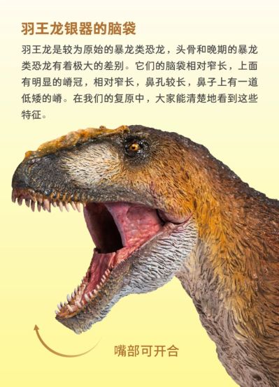 PNSO恐龙大王成长陪伴模型52 羽王龙银器