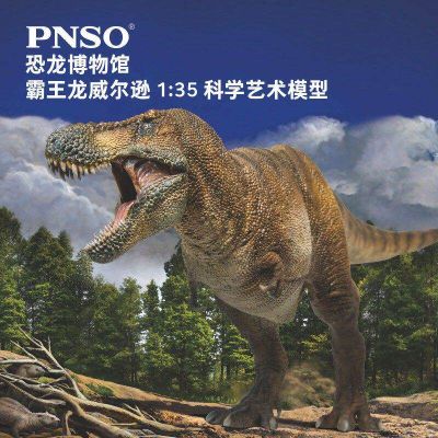 PNSO恐龙博物馆  霸王龙威尔逊1：35科学艺术模型