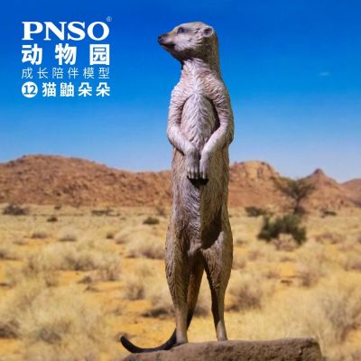 PNSO动物园成长陪伴模型12 猫鼬朵朵