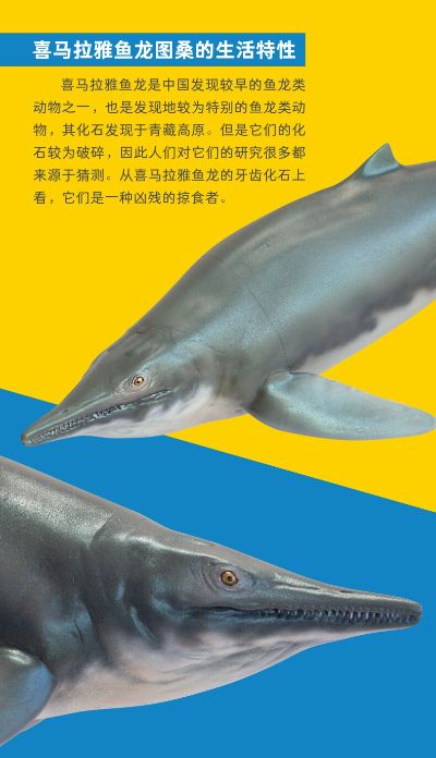 PNSO恐龙大王-成长陪伴系列55 喜马拉雅鱼龙图桑