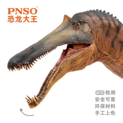 PNSO恐龙大王 成长陪伴模型66 中国上龙崇左