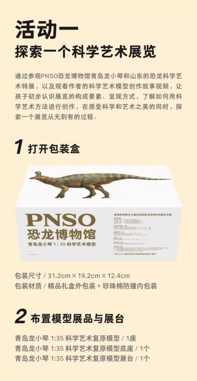 PNSO恐龙博物馆1:35科学艺术模型 青岛龙小琴​