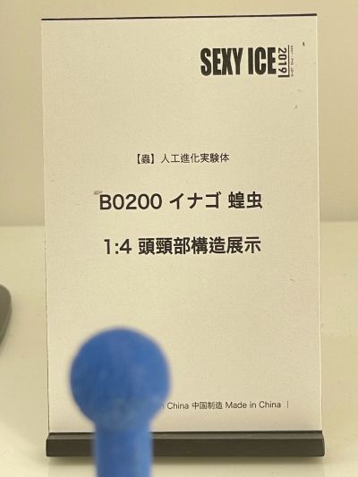 虫 人工进化实验体 B0200 蝗虫 头颈部构造