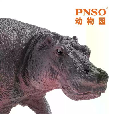 PNSO动物园成长陪伴模型09 河马墩奇