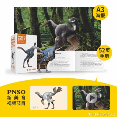 成长陪伴模型93  尾羽龙俊朗