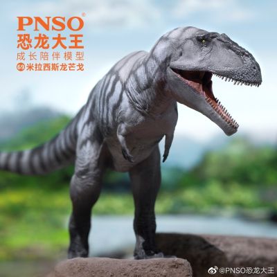 PNSO恐龙大王 成长陪伴模型69 米拉西斯龙芒戈