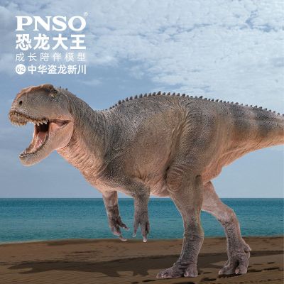 PNSO恐龙大王 成长陪伴模型62 中华盗龙新川