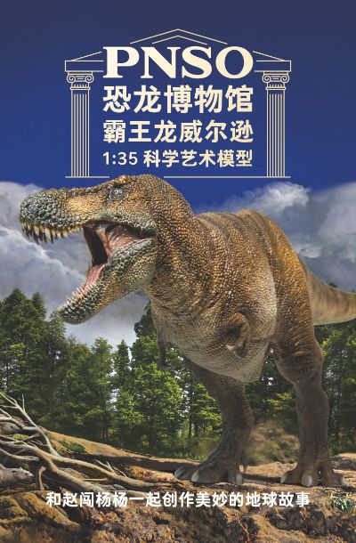 PNSO恐龙博物馆  霸王龙威尔逊1：35科学艺术模型