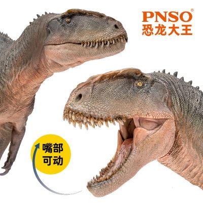 PNSO恐龙大王 成长陪伴模型62 中华盗龙新川