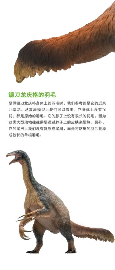 PNSO恐龙大王 成长陪伴模型65 镰刀龙庆格